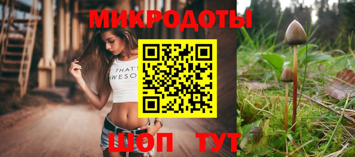 Камышин  Псилоцибиновые грибы прущие грибы  Вход с VPN  Галлюциногенные грибы Cubensis 
